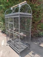 Papegaai kooi galah, Ophalen, Nieuw, Metaal, Vogelkooi