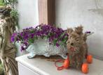 Vintage Schotse Terriër speelgoedhondje - trekhondje, Ophalen of Verzenden