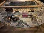 Hamster Terrarium / Kooi Compleet met attributen, Dieren en Toebehoren, Knaagdieren en Konijnen | Hokken en Kooien, Ophalen, Kooi