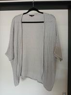 Zilver Grijs Vestje JBC - Maat XL, Kleding | Dames, JBC, Maat 46/48 (XL) of groter, Ophalen of Verzenden, Zo goed als nieuw