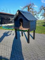 Dieren Hok, Meerdere dieren, Geit, 3 tot 5 jaar