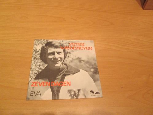 Pieter Gomans - Kat / ‘T Winkeltje, Cd's en Dvd's, Vinyl Singles, Gebruikt, Pop, Ophalen of Verzenden