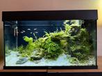 JUWEL Rio 125 aquarium, KRASVRIJ!, Ophalen, Zo goed als nieuw, Gevuld zoetwateraquarium