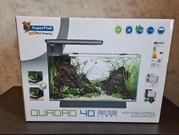 Superfish Quadro 40MultiColour Aquarium  beschikbaar voor biedingen