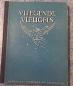 Vliegende vleugels, Ophalen of Verzenden, Gebruikt