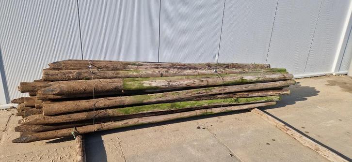 Te koop 3m Boompalen / Weidepalen, Tuin en Terras, Palen, Balken en Planken, Nieuw, Palen, 250 cm of meer, Ophalen
