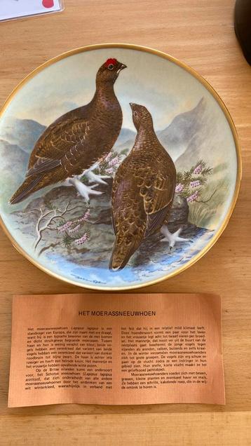 Kunst serie wilde vogels Franklin porcelein  beschikbaar voor biedingen