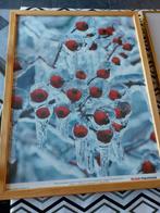 Schilderij met foto, Ophalen, Gebruikt, Hout, 50 tot 75 cm