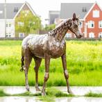 Sculptuur; Mooievogels - dierenbeelden, Ophalen of Verzenden