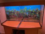 jewel vision 260 aquarium, Dieren en Toebehoren, Vissen | Aquaria en Toebehoren, Ophalen, Gebruikt, Leeg aquarium
