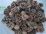 Dennenappels kerstknutselen, denneappels, boomschijf hout, Ophalen, Gebruikt, Overige typen