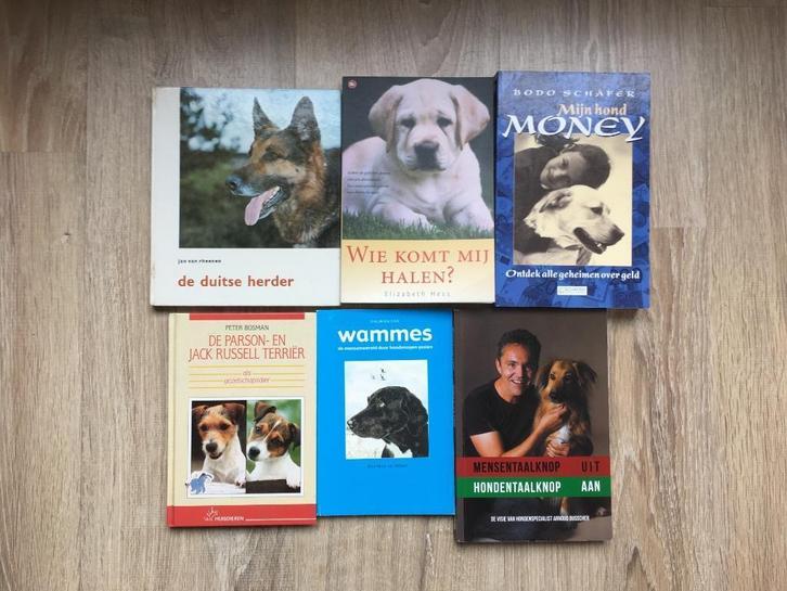 hond gezelschap honde ogen honden taal knop Duitse herder, Boeken, Dieren en Huisdieren, Zo goed als nieuw, Honden, Verzenden