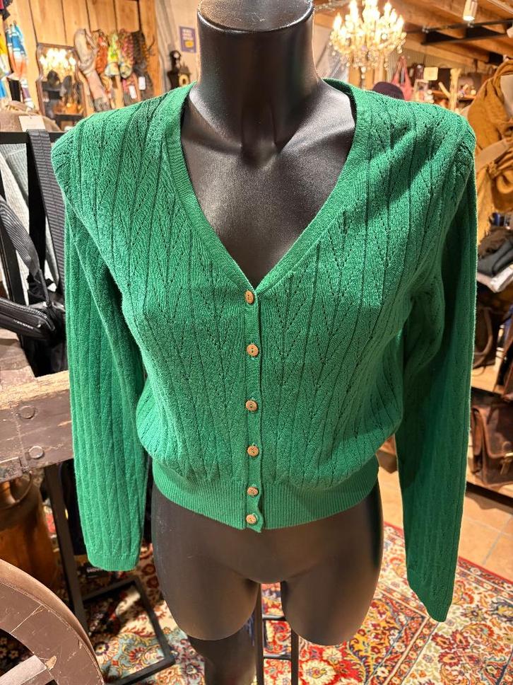 Nieuwe Blutsgeschwister vest met 50% korting, Kleding | Dames, Truien en Vesten, Nieuw, Maat 38/40 (M), Groen, Ophalen of Verzenden