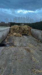 Gratis paarden mest, Tuin en Terras, Aarde en Mest, Ophalen, Mest