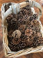 Zakjes dennenappels per 20 stuks, Hobby en Vrije tijd, Knutselen, Ophalen of Verzenden, Nieuw, Materiaal