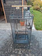 Papegaaien kooi 61cm bij 56cm 153cm hoog, Dieren en Toebehoren, Vogels | Parkieten en Papegaaien, Mannelijk, Papegaai