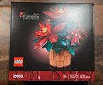 LEGO Icons Kerstster 10370 - Nieuw in doos!, Ophalen of Verzenden, Nieuw, Complete set, Lego