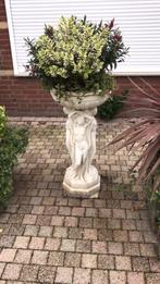 Beeld tuin, Tuin en Terras, Ophalen