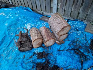 Hout, stookhout, verwarming, kachel, openhaard, vuurkorf beschikbaar voor biedingen