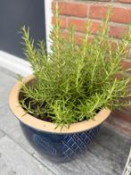 Bloem pot, Tuin en Terras, Bloempotten, Ophalen of Verzenden