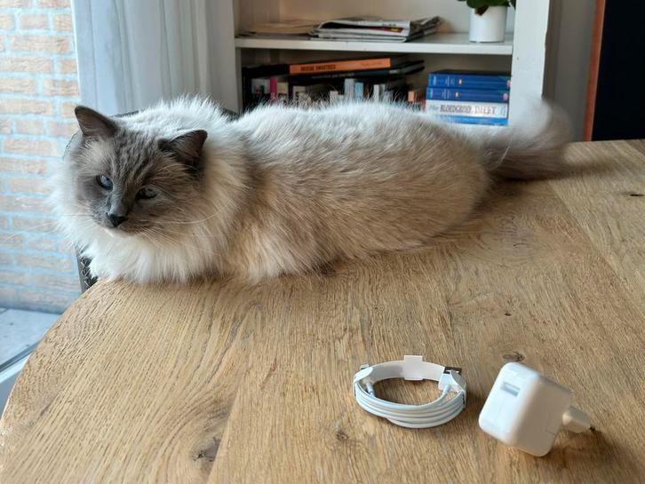 Originele Apple iPad Pro oplader, ongebruikt, Computers en Software, Apple iPads, Nieuw, Apple iPad Pro, 10 inch, 64 GB, Wit, Ophalen of Verzenden