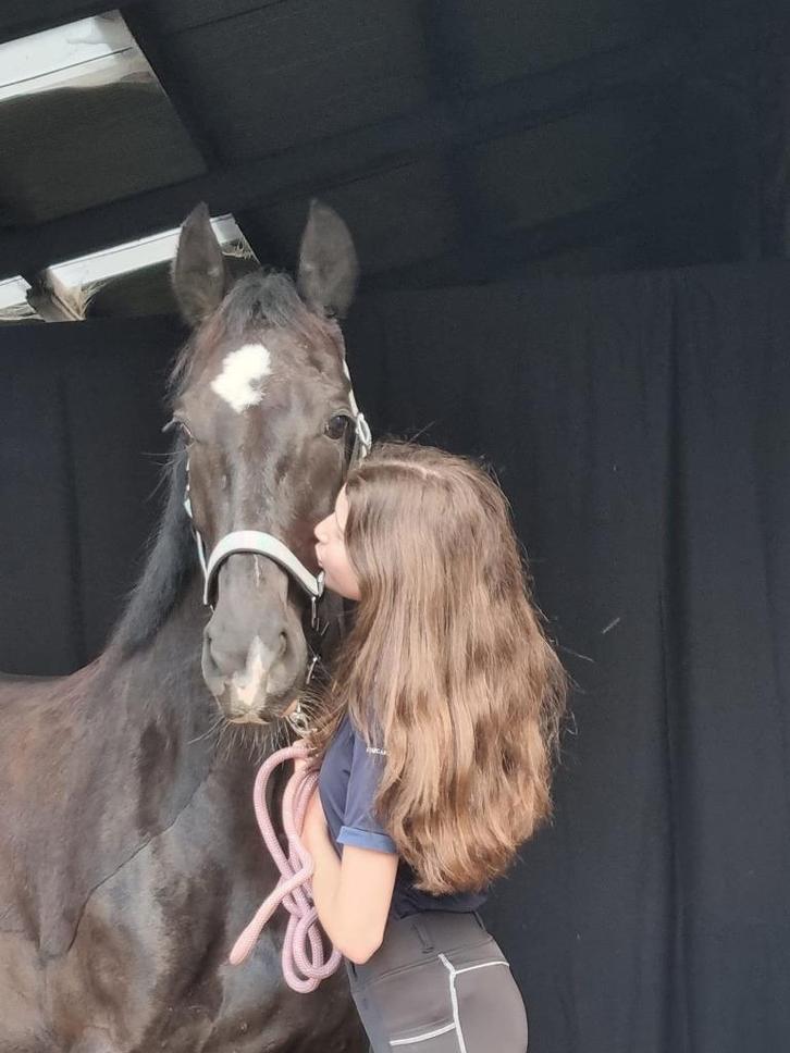 Ruiter zoekt paard, Dieren en Toebehoren, Paarden en Pony's | Verzorgingsproducten, Zo goed als nieuw, Ophalen of Verzenden