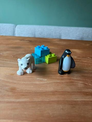 Duplo poolstreekverblijf #10501 beschikbaar voor biedingen