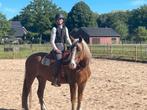 Buitenritten, buitenritmaatje, Diensten en Vakmensen, Dieren | Paarden | Verzorging, Oppas en Les