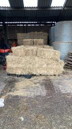 Frans weidehooi/paardenhooi laag in suikers, Dieren en Toebehoren, Ophalen of Verzenden, Vee