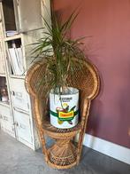 Rotan kinder pauw stoeltje, Huis en Inrichting, Woonaccessoires | Zuilen en Pilaren, Ophalen of Verzenden, Zo goed als nieuw