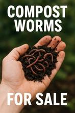 Compost wormen, Ophalen of Verzenden