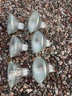 6x GU5 20w halogeen lampjes, Halogeen, Gebruikt, Ophalen of Verzenden, Glas