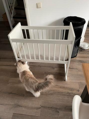 Witte babywieg inclusief matras beschikbaar voor biedingen