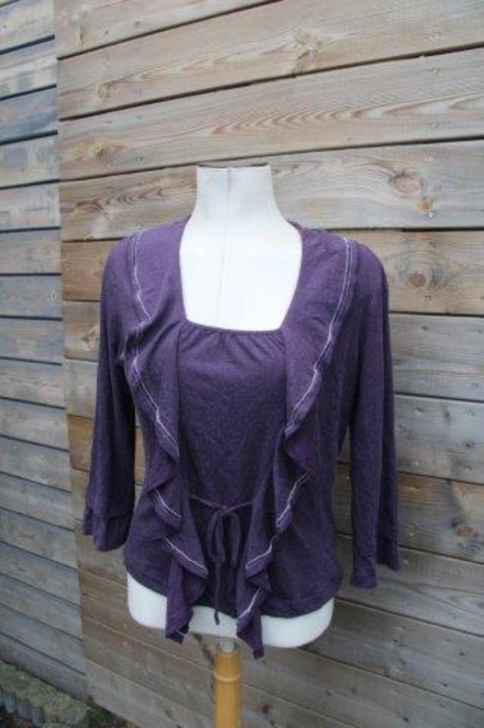 Tuniek paars Lisa Campione mt 40 Vaste prijs OPRUIMING, Kleding | Dames, Blouses en Tunieken, Zo goed als nieuw, Maat 38/40 (M)
