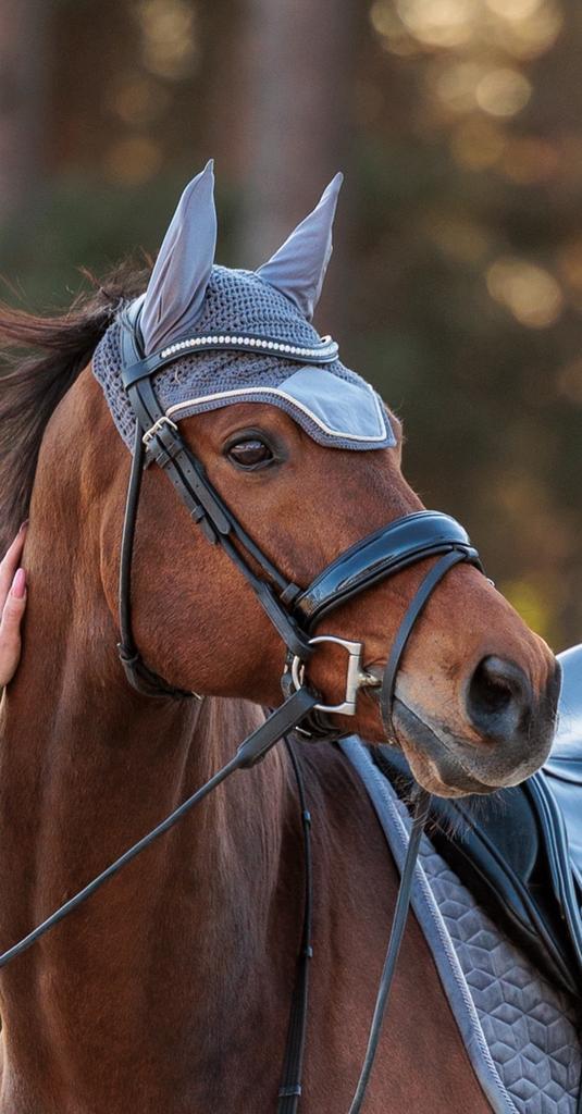 Stalling gezocht voor mijn brave en makkelijke kwpn ruin, Dieren en Toebehoren, Stalling en Weidegang, Stalling