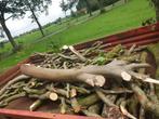 Brandhout Haardhout, Tuin en Terras, Haardhout, Minder dan 3 m³, Ophalen of Verzenden, Overige houtsoorten, Stammen