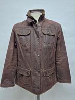 Barbour dames wax jas, maat 40, Barbour, Bruin, Gedragen, Ophalen