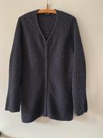 Dames vest  “Fryske Trui”, mt L, blauw, Ophalen of Verzenden, Zo goed als nieuw, Blauw