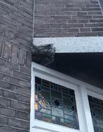 Betonreparatie betonrot balkonrenovaties betonherstel, Doe-het-zelf en Verbouw, Overige Doe-het-zelf en Verbouw, Ophalen of Verzenden