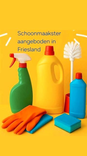 Schoonmaakster aangeboden in Friesland beschikbaar voor biedingen