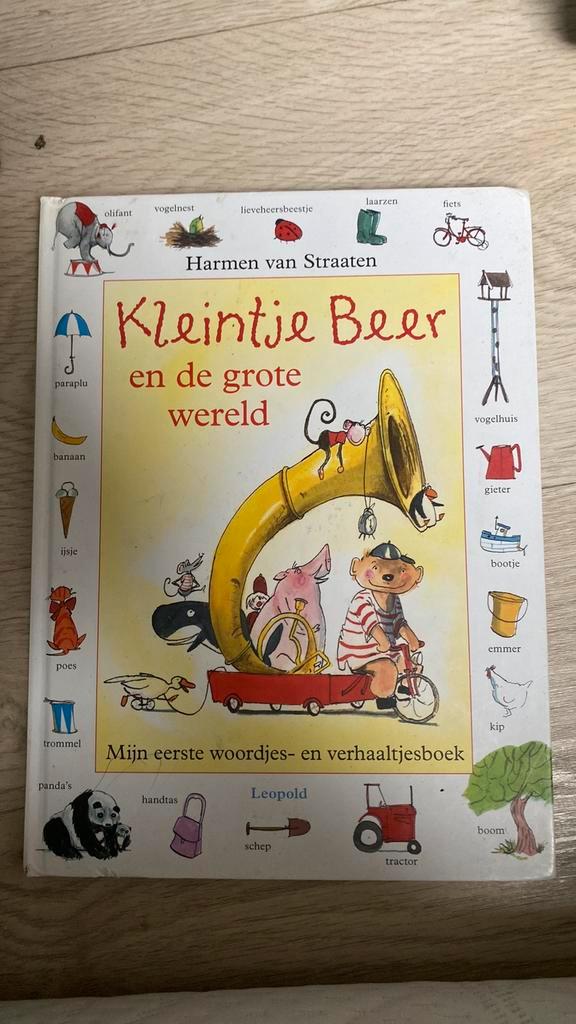 Harmen van straaten - Kleintje beer en de grote wereld, Boeken, Kinderboeken | Baby's en Peuters, Zo goed als nieuw, Ophalen of Verzenden