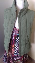 Groene bodywarmer van Mountain Peak, Maat S (36), Nieuw, Ophalen of Verzenden, Mountain Peak, Maat 36 (S)