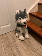 Grote Husky Knuffel, Ophalen of Verzenden, Zo goed als nieuw, Hond