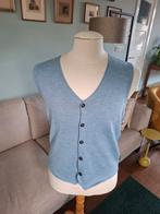 Gilet van Cavallaro maat S, Blauw, Ophalen of Verzenden, Zo goed als nieuw, Maat 46 (S) of kleiner