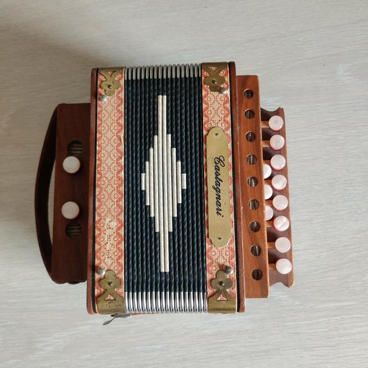 Castagnari trekharmonika., Muziek en Instrumenten, Accordeons, Zo goed als nieuw, 120-bas, Overige merken, Ophalen of Verzenden