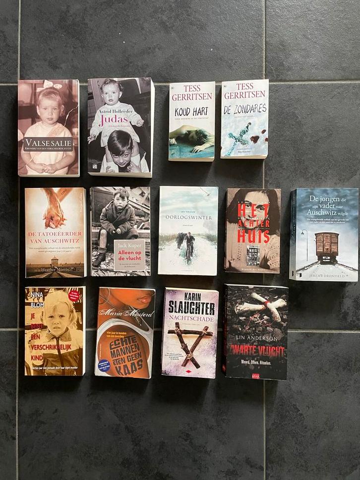 Diverse Leesboeken - Romans & Thrillers, Boeken, Romans, Gelezen, Nederland, Ophalen of Verzenden