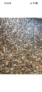 Schone schelpen, Ophalen, Gebruikt