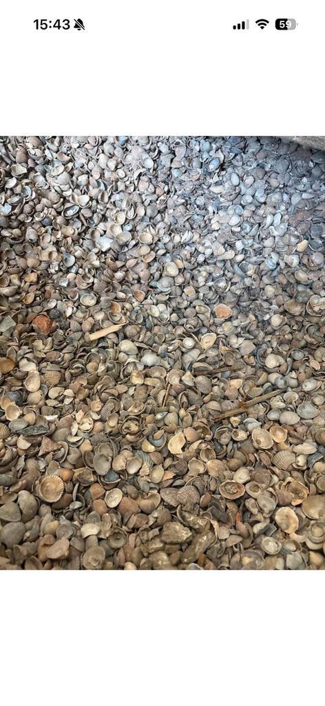 Schone schelpen, Tuin en Terras, Grind, Keien en Split, Gebruikt, Ophalen