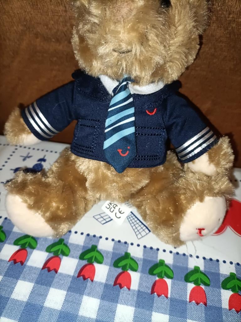 TUI piloot beer knuffel 21 cm groot, Ophalen of Verzenden, Zo goed als nieuw, Stoffen beer, Overige merken