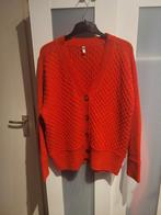 Heel mooi rood vest maat L, Maat 42/44 (L), Ophalen of Verzenden, Zo goed als nieuw, Hema